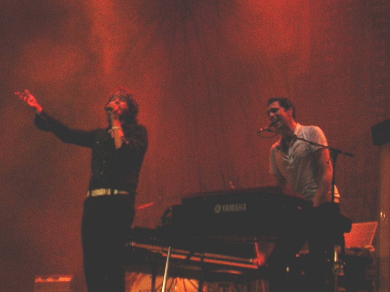 fiberfib 014.jpg